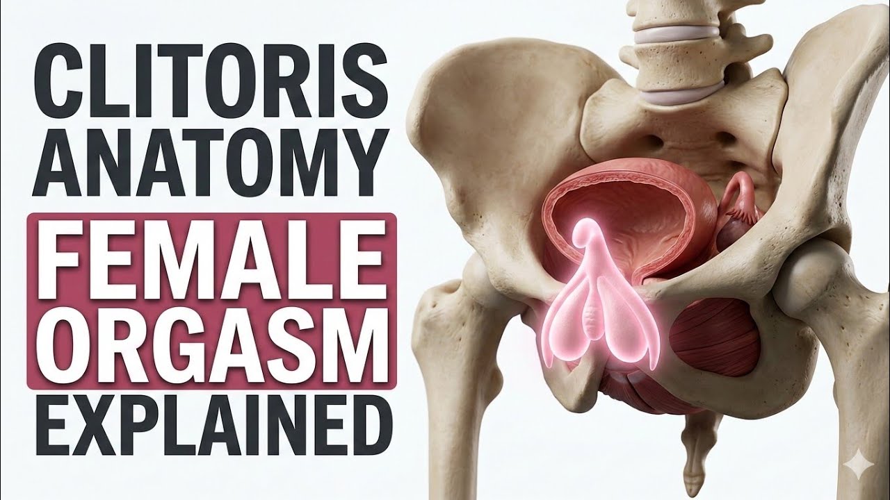 Clitoris Anatomy Explained | Female Orgasm Science
