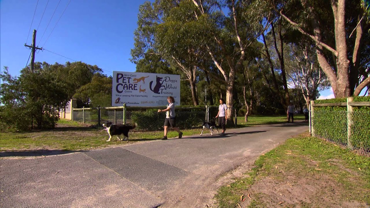 West Coast Pet Care Centre Pet Hotel - 7WAWE EP7
