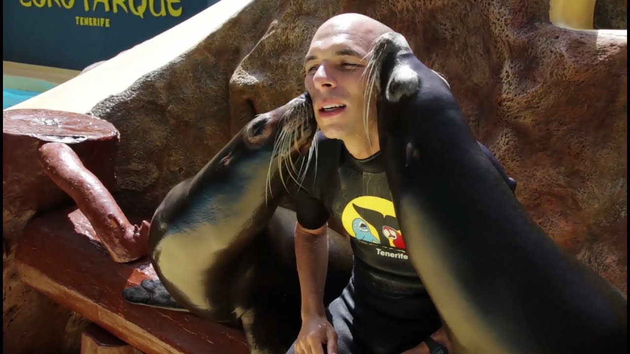 Día de los Cuidadores