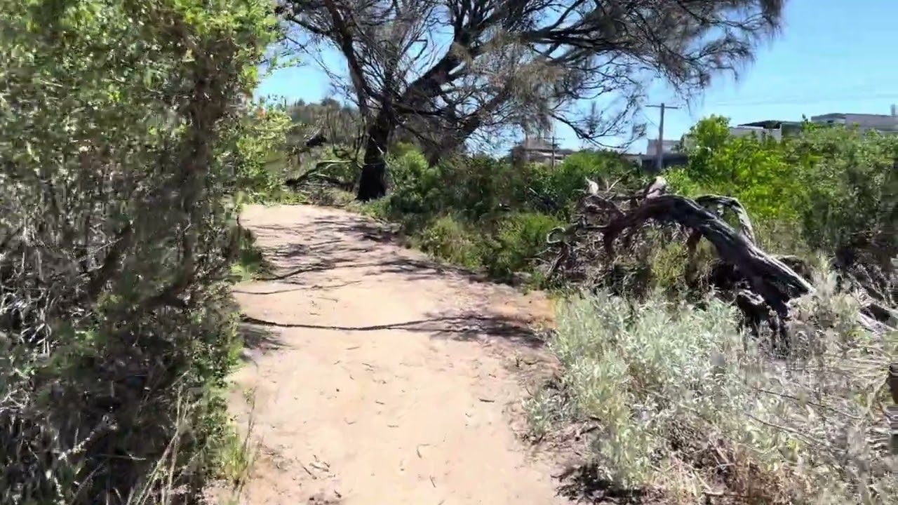 Bay trail 