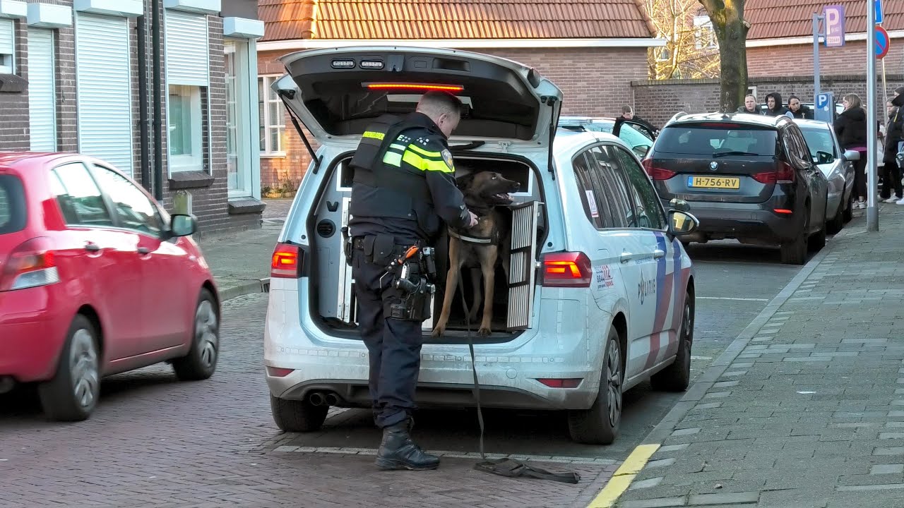 Klokkenwinkel overvallen op de Madurastraat in Zwolle | Politiehond in actie tijdens zoekslag