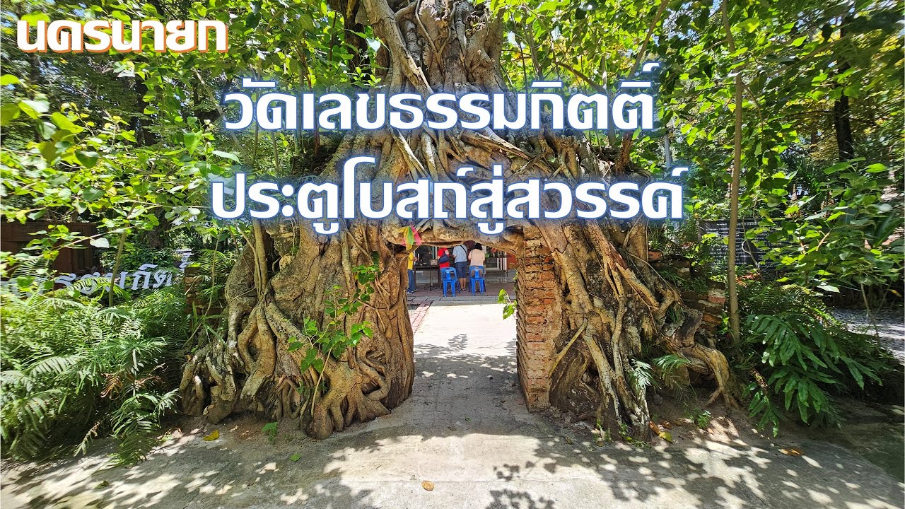 วัดเลขธรรมกิตติ์ ประตูโบสถ์และหน้าต่างโบสถ์ที่มีต้นไทรปกคลุม นครนายก