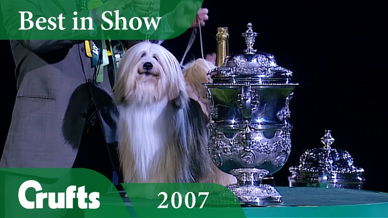 Tibetan Terrier wins Crufts Best In Show 2007 | Crufts Classics
