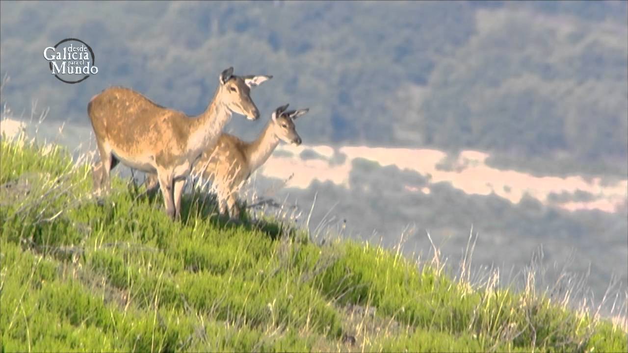 TREVINCA, LA JOYA DE LA ALTA MONTAÑA
