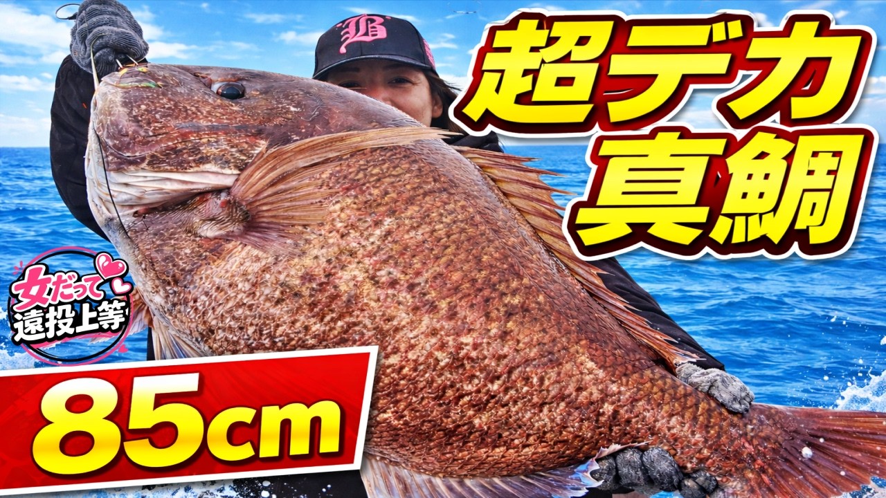 【衝撃映像】まさかのモンスター真鯛！堤防からこのサイズ…信じられる？