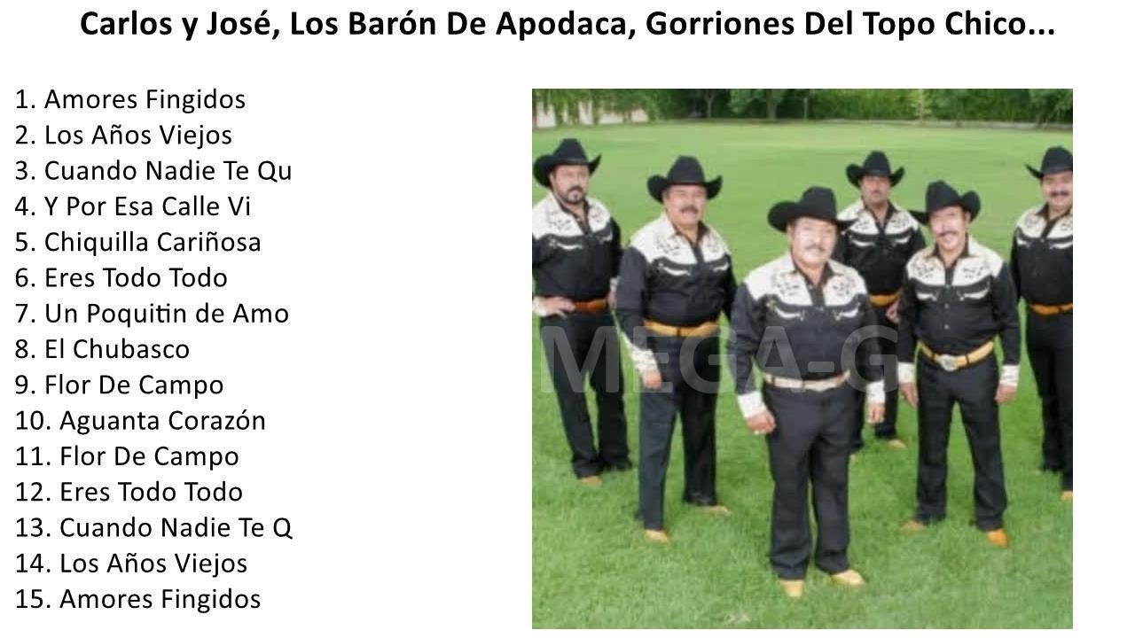 LOS MEJORES 15 EXITOS NORTE&Ntilde;OS 1989 DISCO COMPLETO1