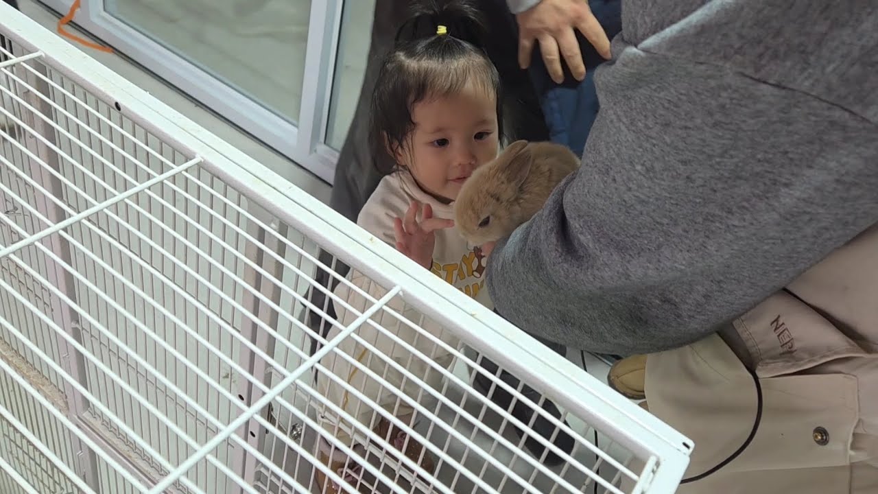 곤충 동물 탐험대