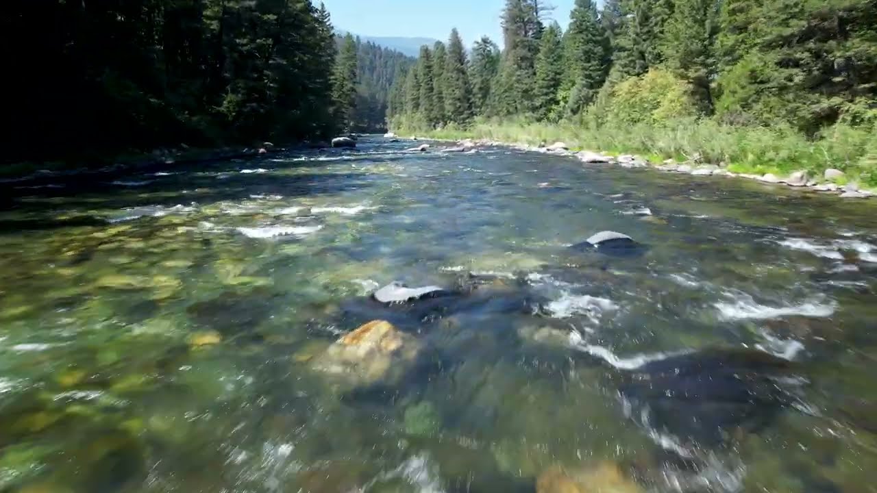 Gallatin River in September 2022 4K Drone footage
