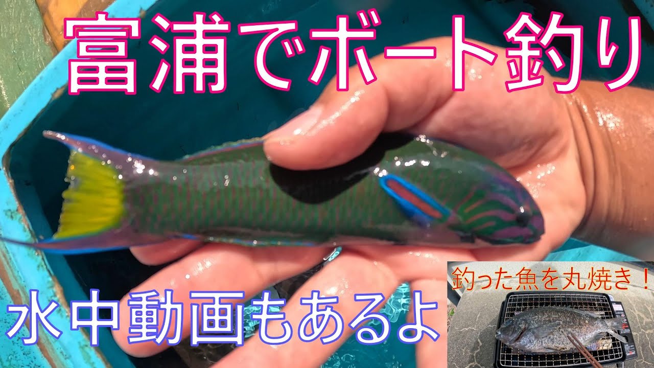 【ボート釣り】【水中動画】とみうらマリンボートさんでダンゴ釣り(黒鯛狙い)とトリックサビキで五目釣りをしてみた。メジナの丸焼きもしてみたよ【海釣り】
