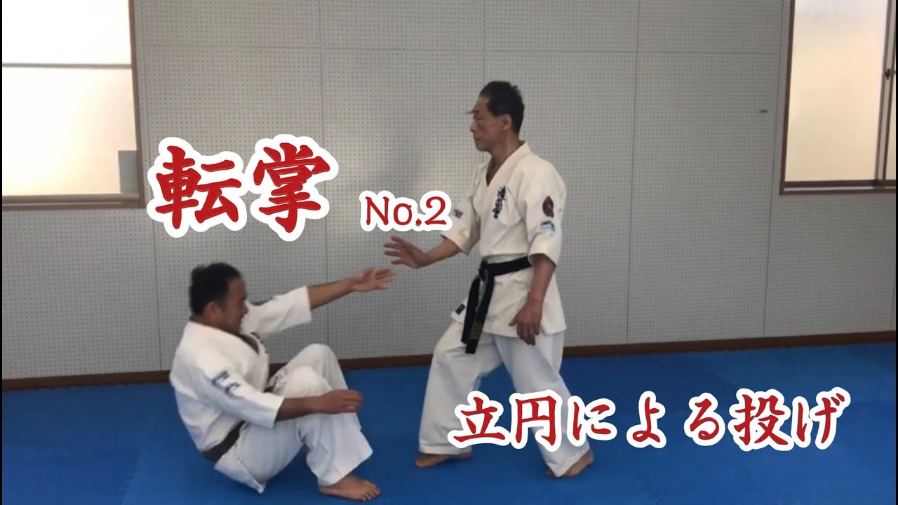 転掌(立円による投げ)　Vertical circular motion throw