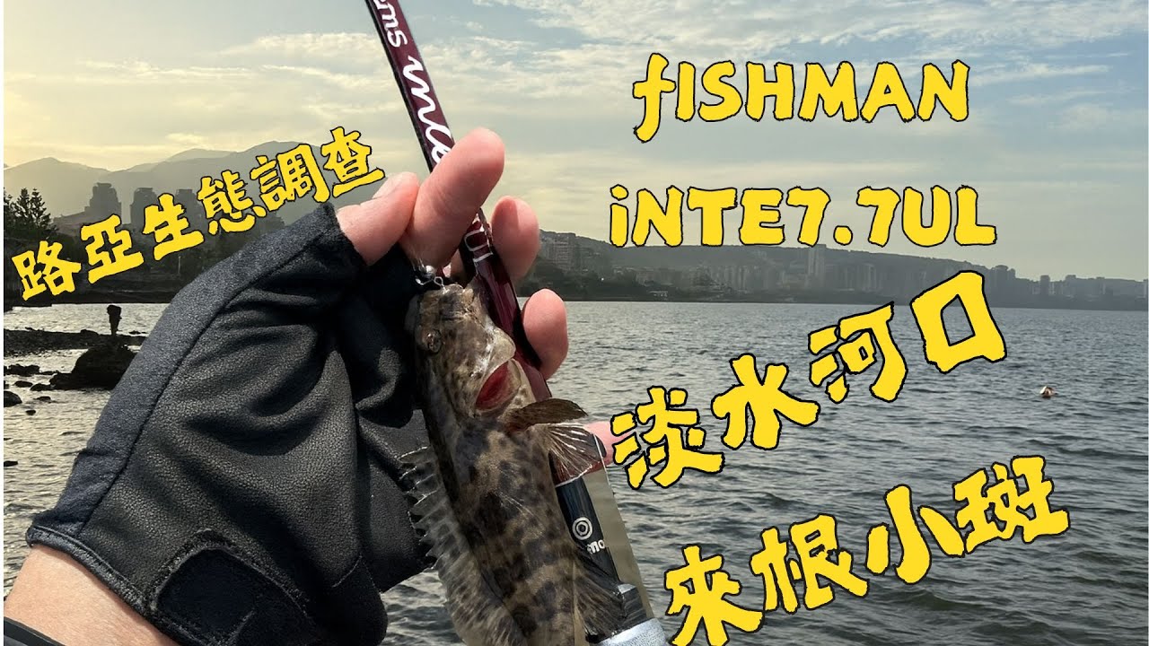 🎣【來根小斑｜Fishman出動】Fishman 7.7UL + Alphas BF 實戰！河口石斑開胡 淡水河口