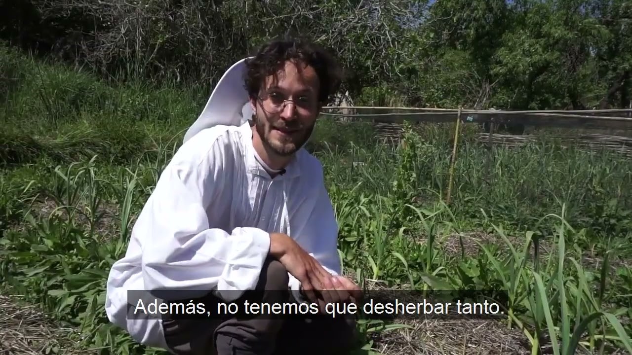 Acolchado  - Huertos Organicos