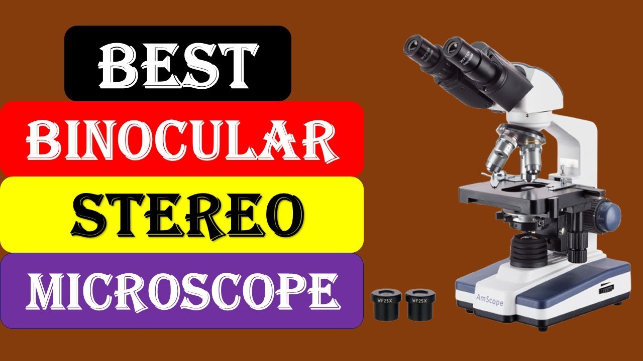 Top 5 Best  Binocular Stereo Microscope in 2025 From Aliexpress
