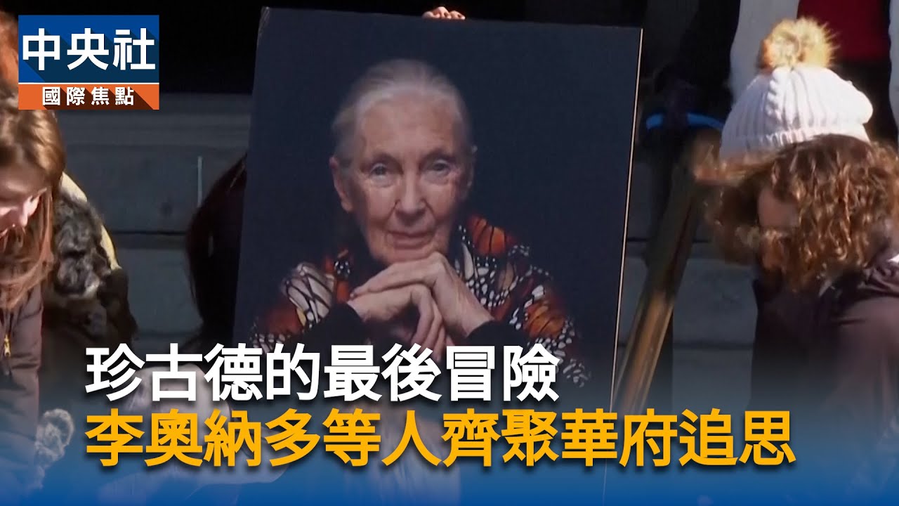 珍古德的最後冒險　李奧納多等人齊聚華府追思致敬｜中央社影音新聞