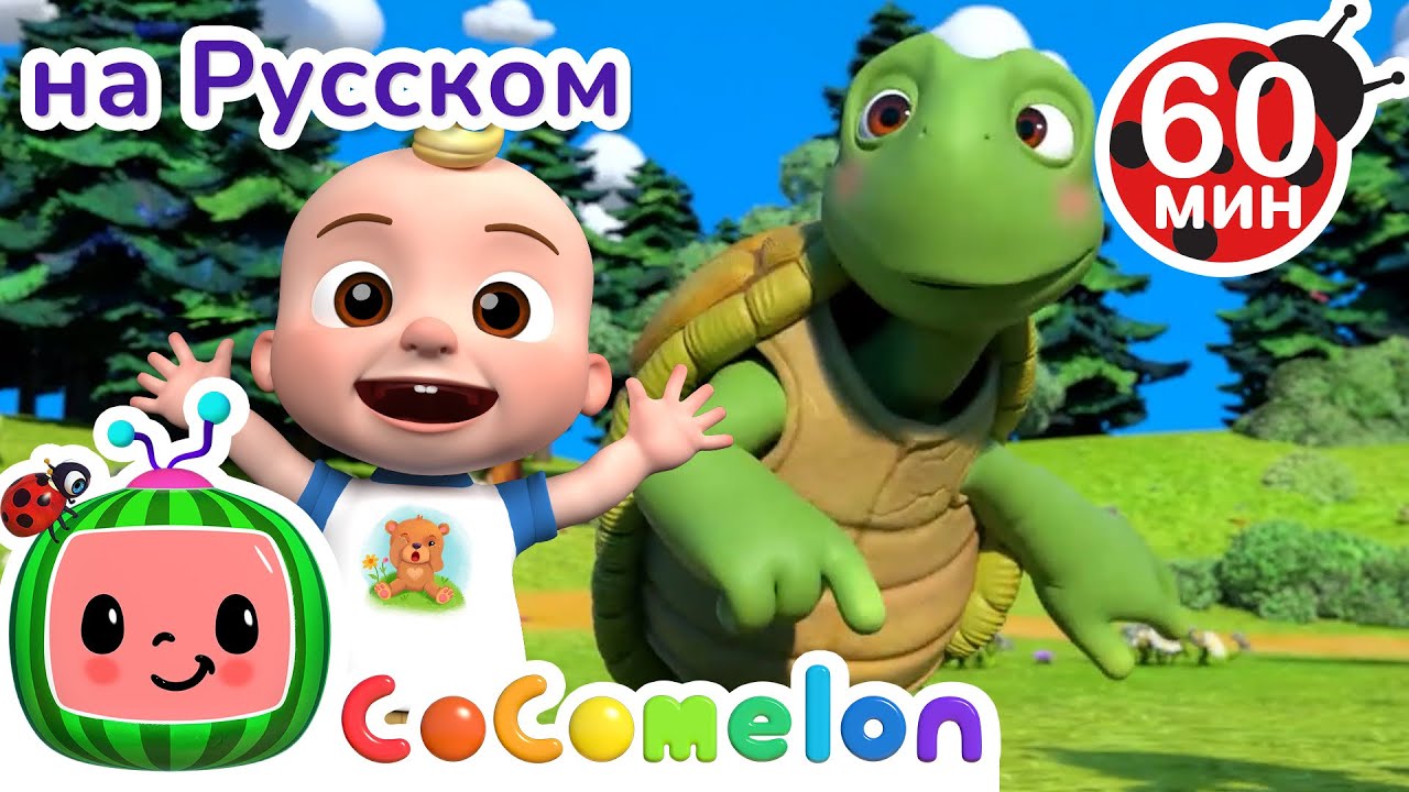 Раз, Два, Три - Морская Фигура Замри | Сборник 1 Час | CoComelon на русском — Детские песенки