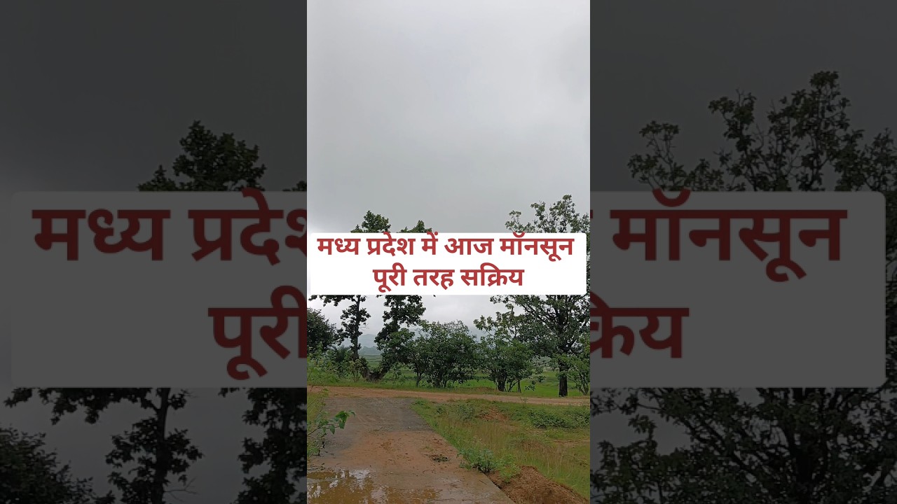 Madhya Pradesh weather update today heavy rain alert 20 august #shorts #short