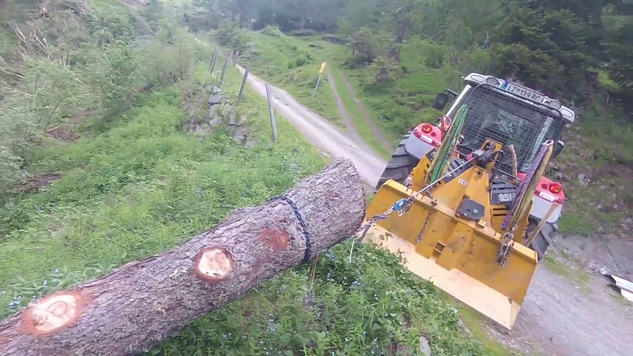 🌲 🌳 Forsttechnik/Waldarbeit 🌲 🌳 im extremen Gelände (Fail) #4