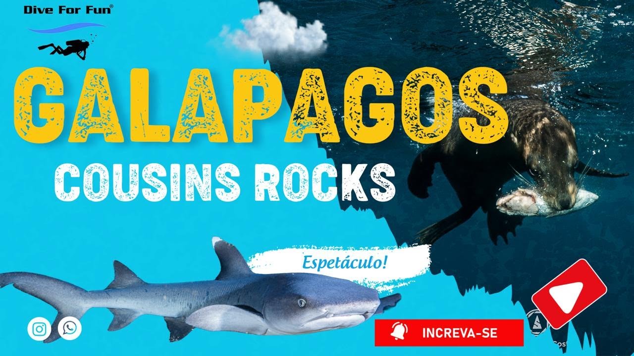 Cousins Rock - Galapagos Julho 2025 @Diveforfun