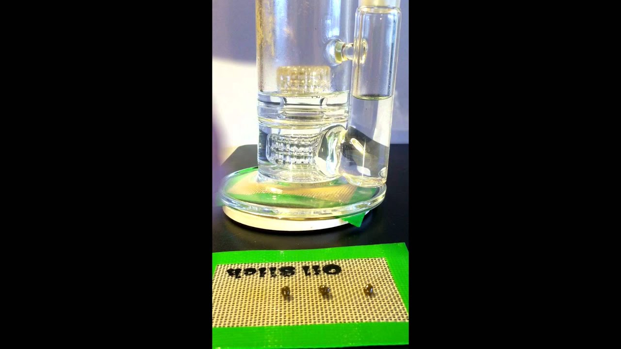 Dabbers Daily - Dab Trotters laying down 7 nasty Dunks on 7 rigs!