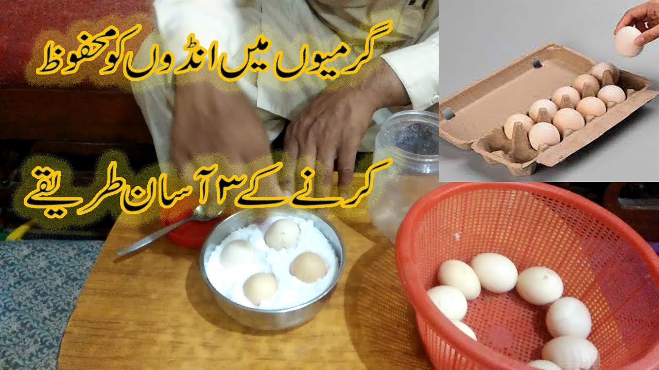 HOW TO SAVE FERTILE EGGS IN SUMMER/eggs storage/ GARMIO MA ANDO KO SAVE KARNA/how fertile eggs sage.