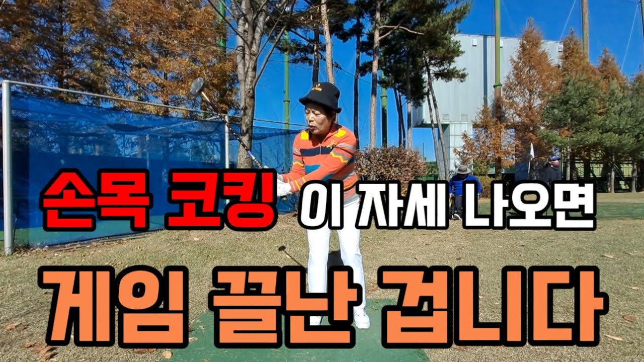 손목 코킹의 모든 것 누구나 할 수 있습니다. #파크골프 #파크골프치는법