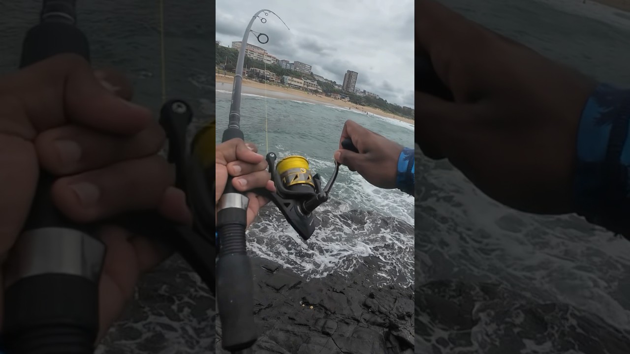 Fishing in Amanzimtoti: Durban&rsquo;s Hidden Gem!