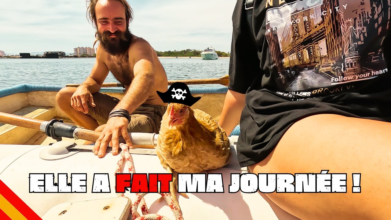 SUR LA MER LES HOMMES SONT LIBRES, LES POULES AUSSI ! (VLOG #NOMADE 211 )