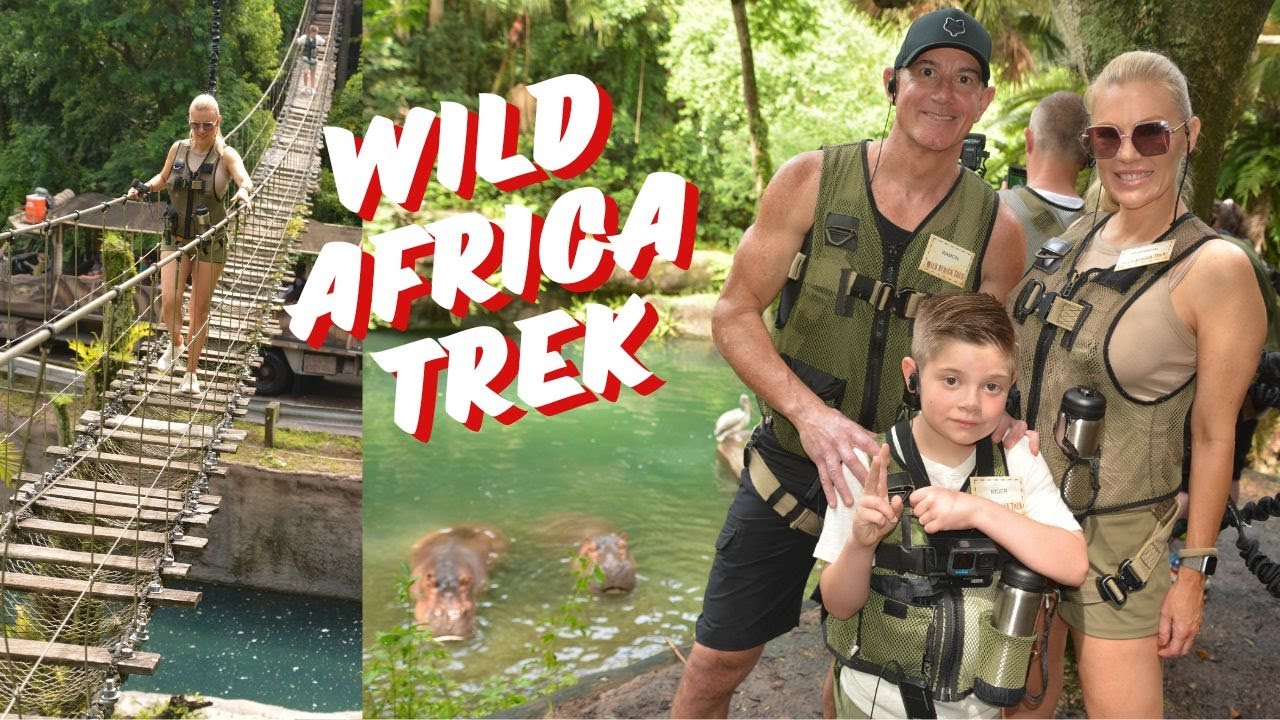 СПИСОК ПОСЕЩЕНИЙ DISNEY: Путешествие по дикой Африке в тематическом парке Disney Animal Kingdom |...