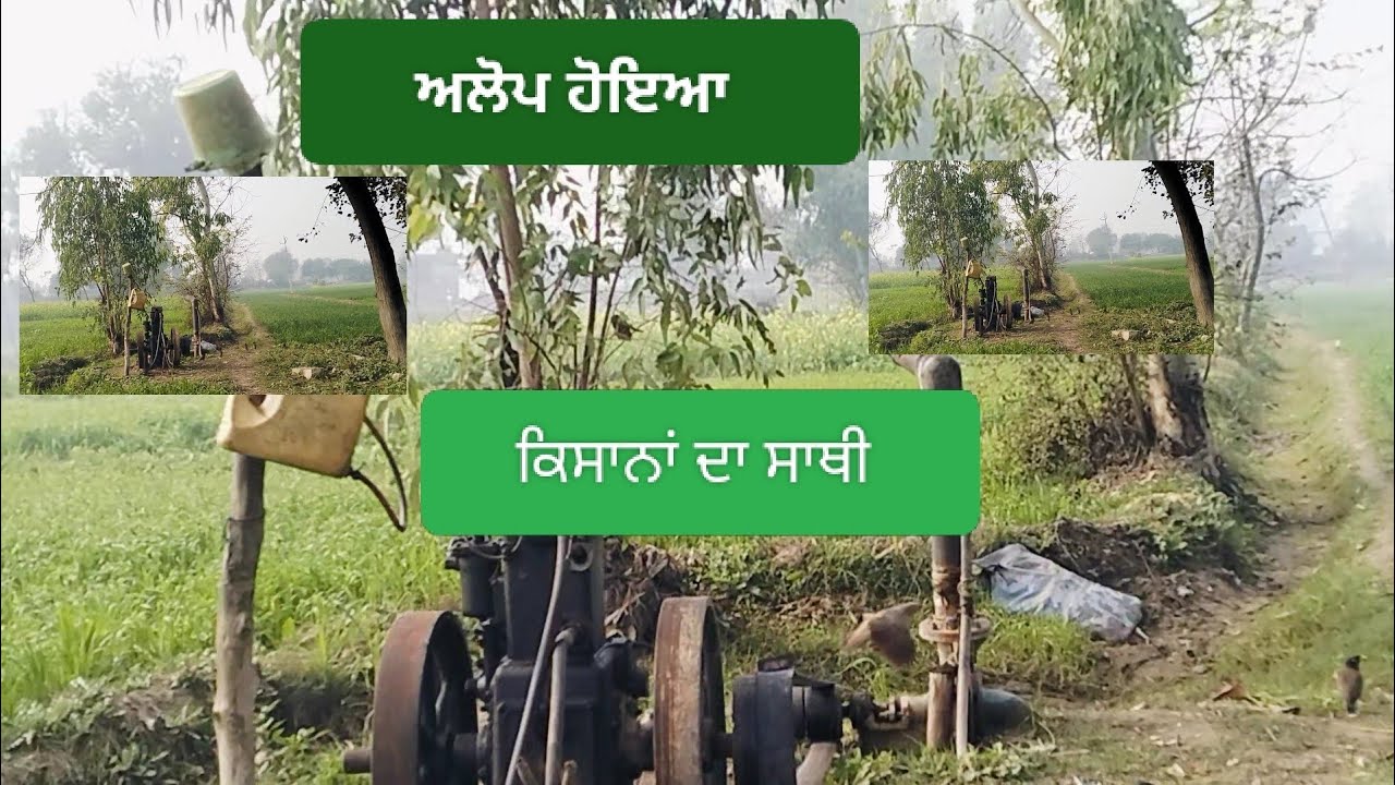 ਟਿਉਬ ਵੈਲ।। ਫਾਰਮਰ crops king।। ਹੋਇਆ ਅਲੋਪ funny #song #automobile #farming