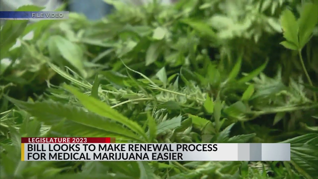 Renewing medical marijuana cards could get easier