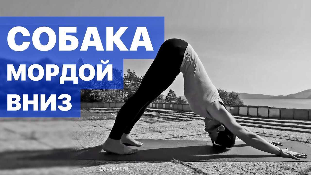 Собака Мордой Вниз – Техника выполнения Адхо Мукха Шванасана