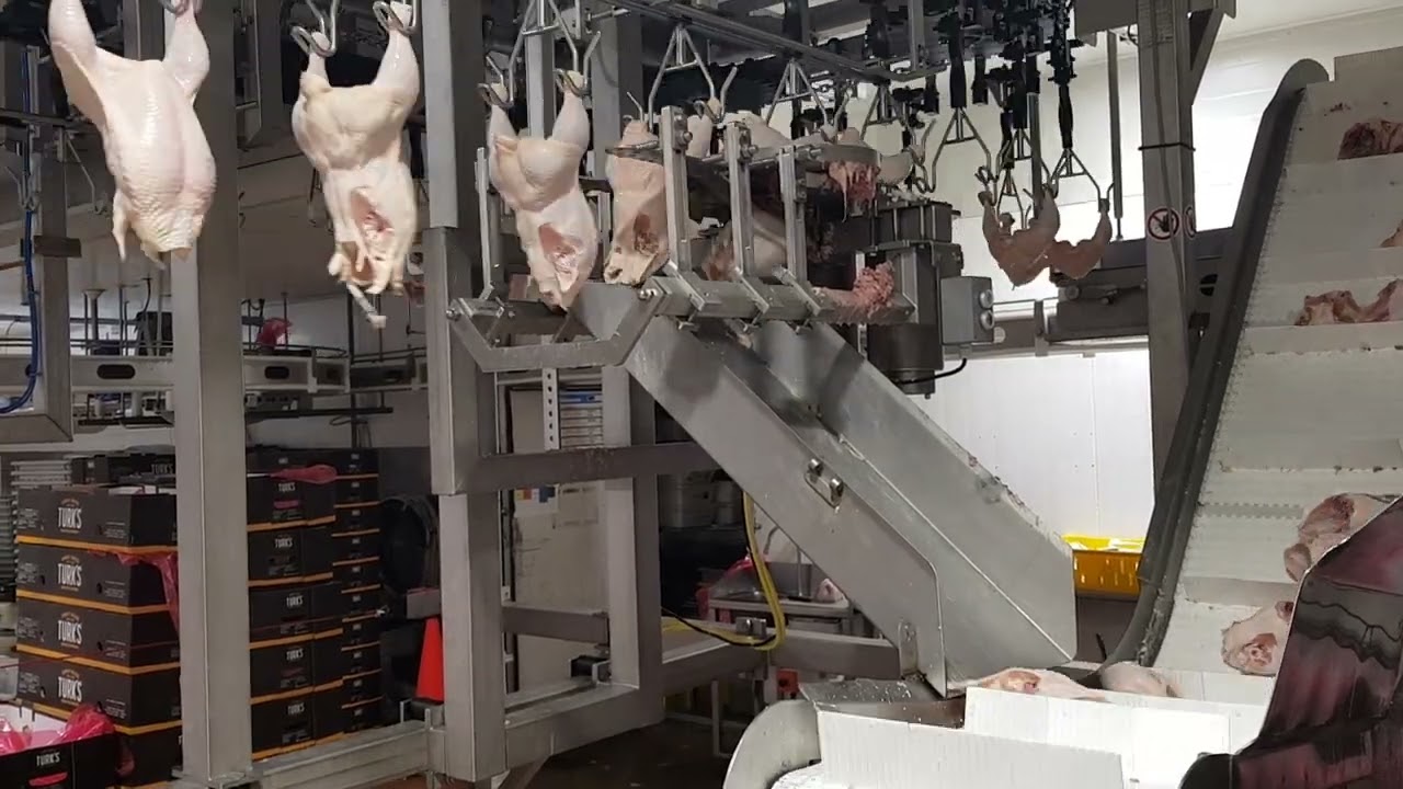 Baader Proflex premium cut up line