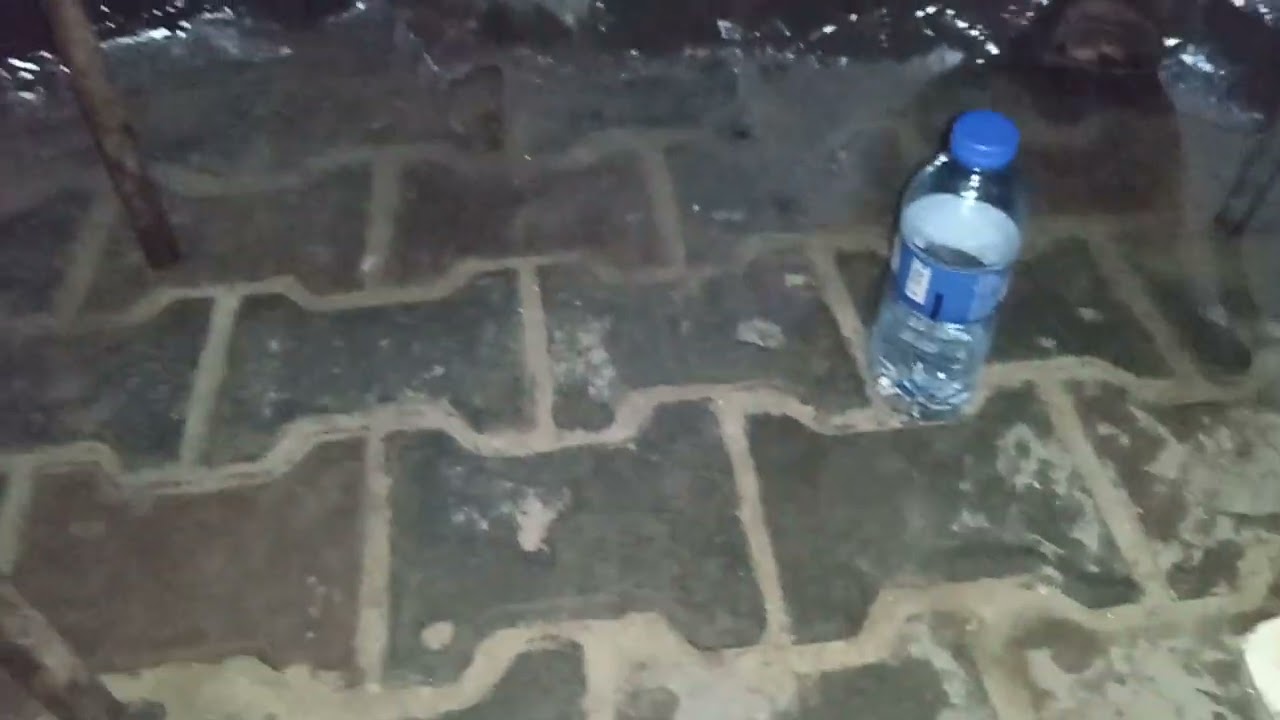 تحدي مع بنت ولد الفلسطيني