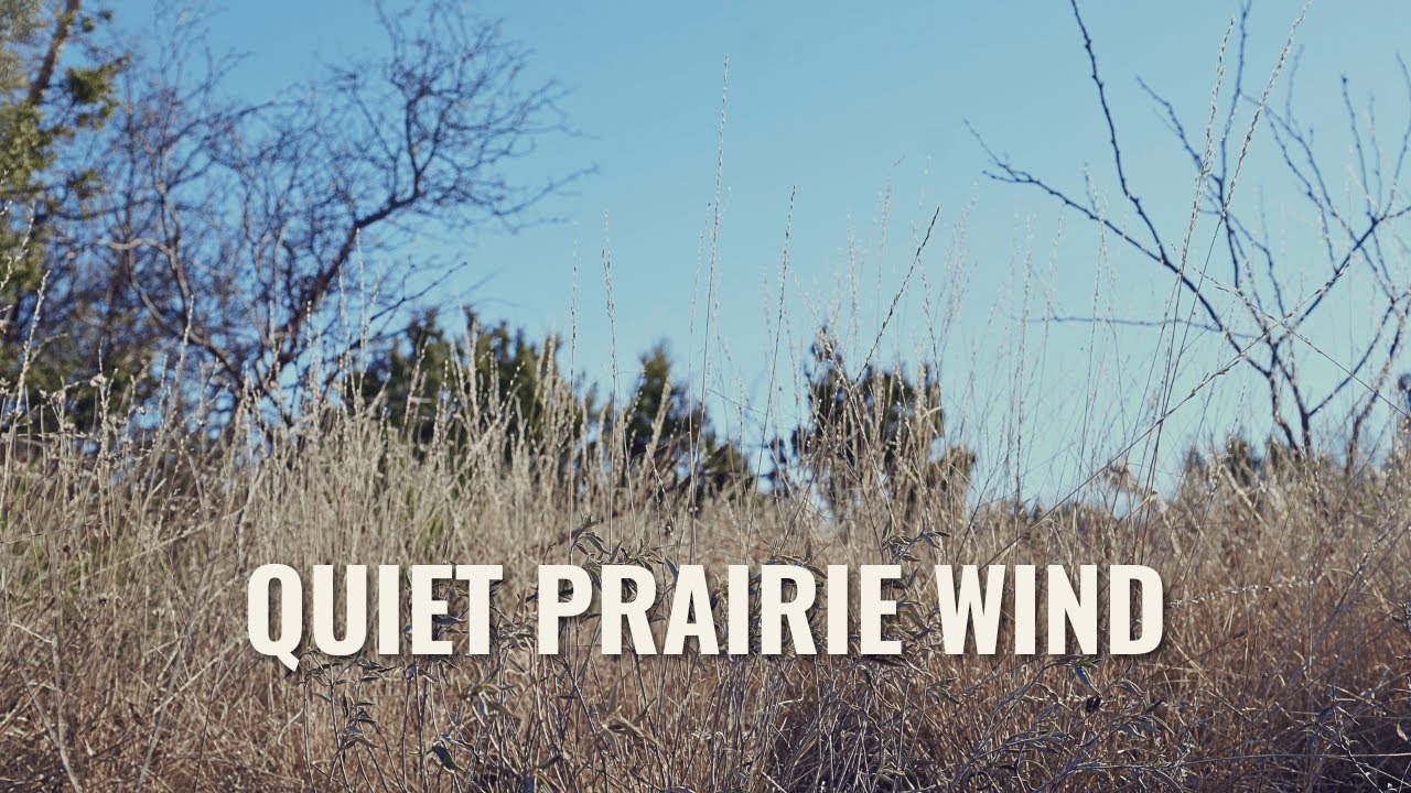Wind in Prairie Grass 🌾 Ranch Nature | 1 Hour Relaxing Ambience