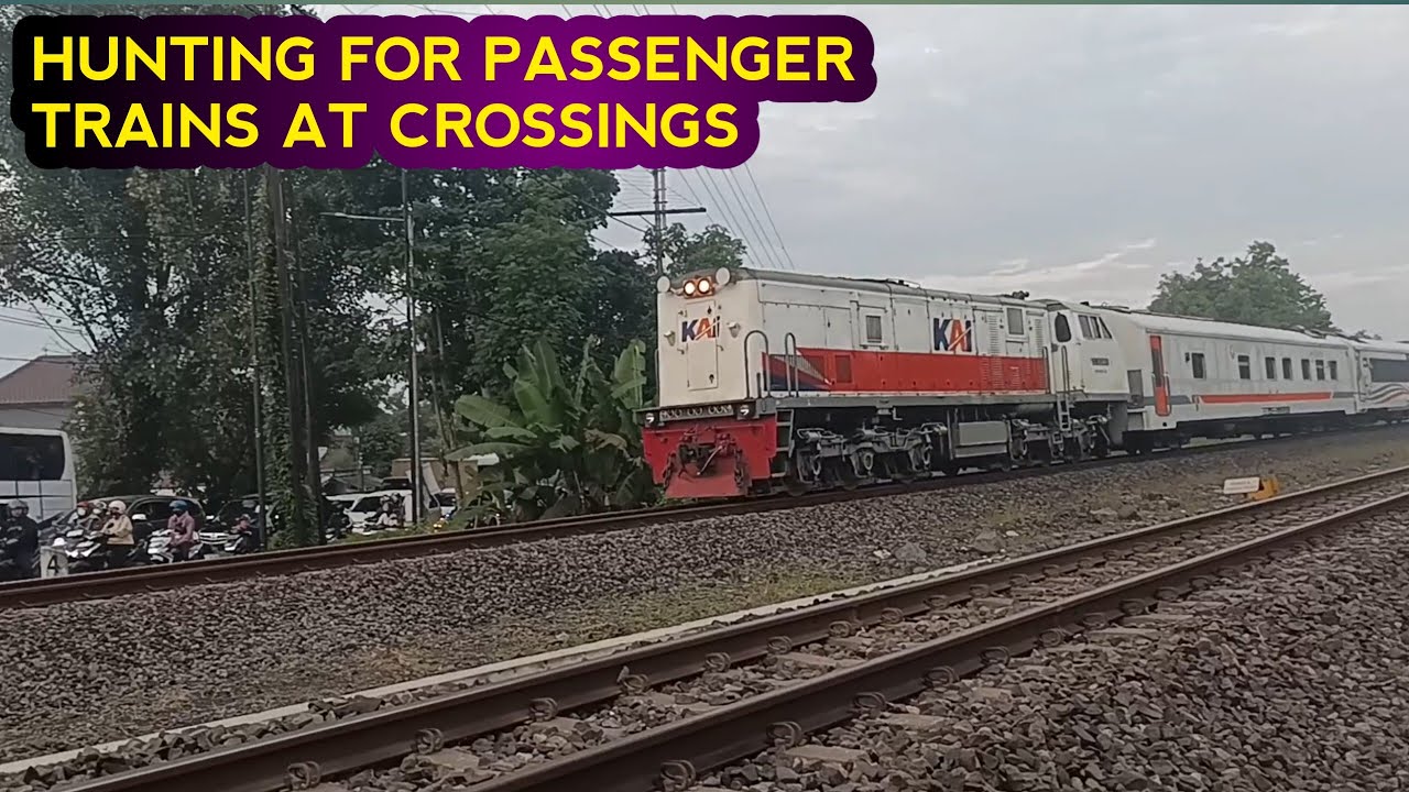 HUNTING FOR PASSENGER TRAINS AT CROSSINGS DURING RUSH HOUR. PART. 2