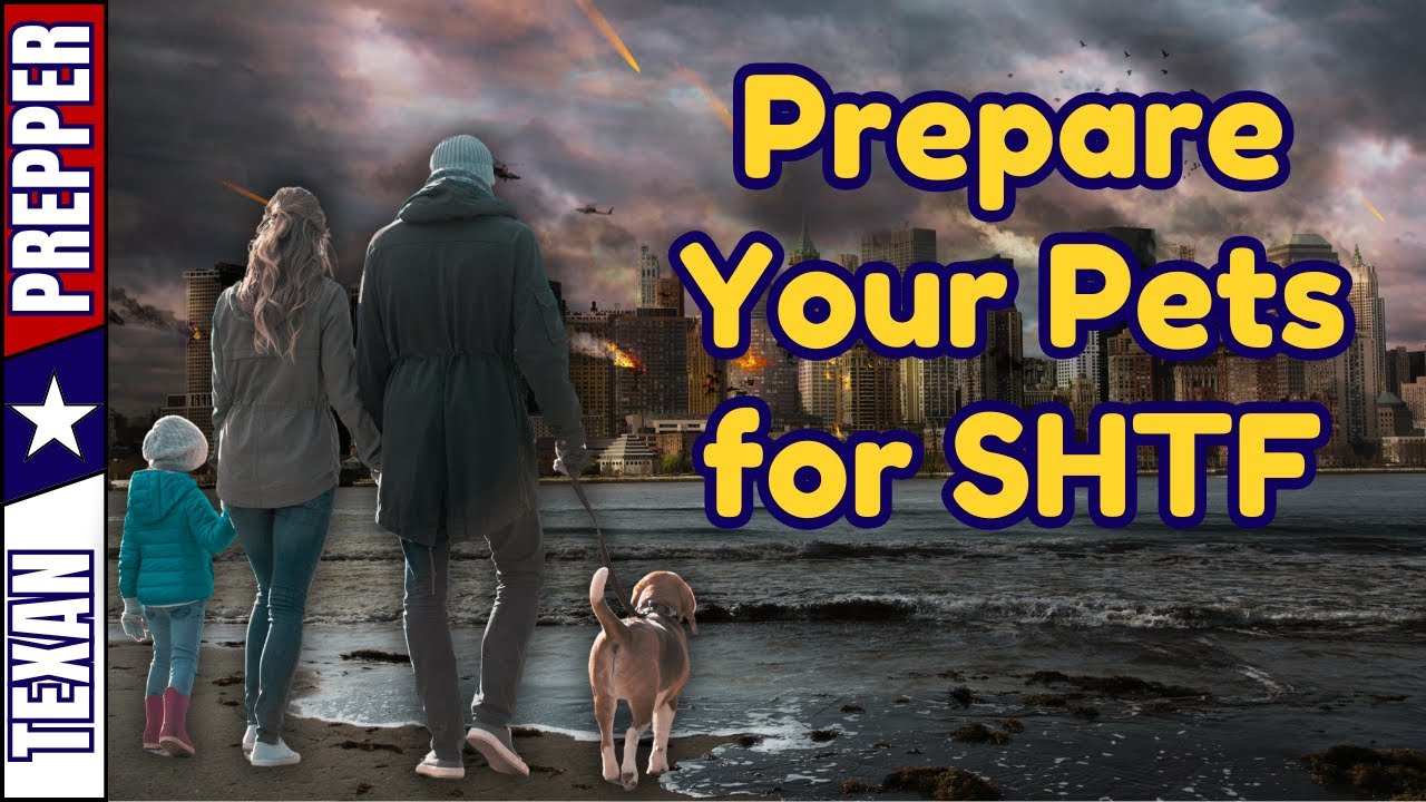 Prepping for Pets: How to Keep Your Pets Safe