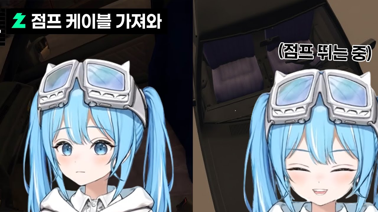 '점프' 케이블 가져오랬더니 차 위에서 '점프' 뛰는 타비