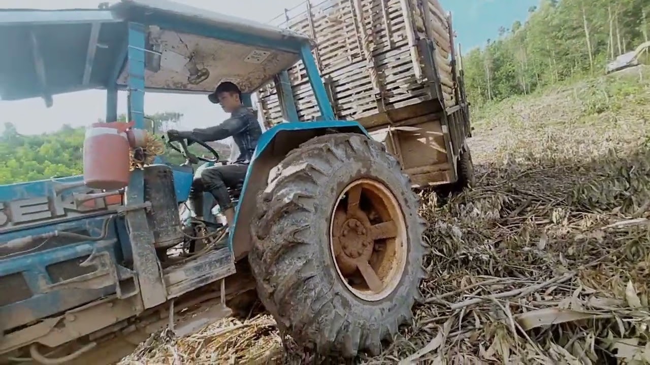 Stripping trees, hauling logs, and the harsh labor life deep in the forest #mountainlife #viral #top