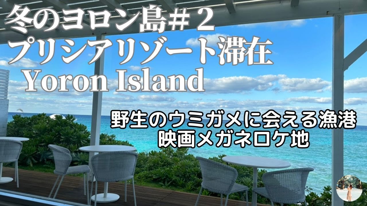 【冬のヨロン島②】野生のウミガメに遭遇！穴場ビーチ探しと海が見えるお洒落なカフェ。プリシアリゾートヨロン滞在レポ｜旅のvlog| Yoron Island Trip（2024.1.10-16）