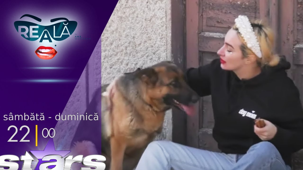 Ana Morodan, ședința foto cu un câine lup: Hai să facem bani!