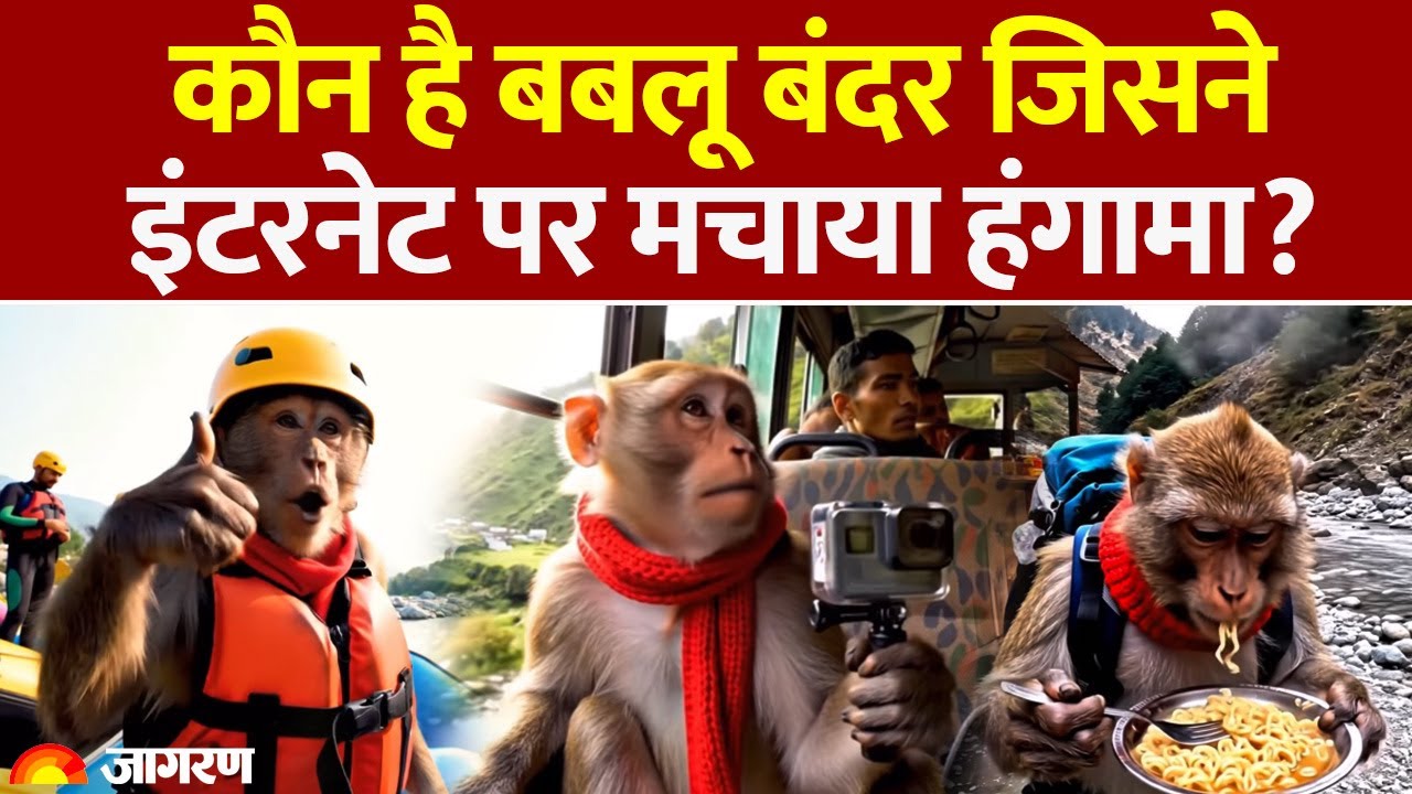 Babloo Bandar AI: बंदर बना Content Creator, इंटरनेट पर मचाया हंगामा | Monkey vlogs | Hindi News