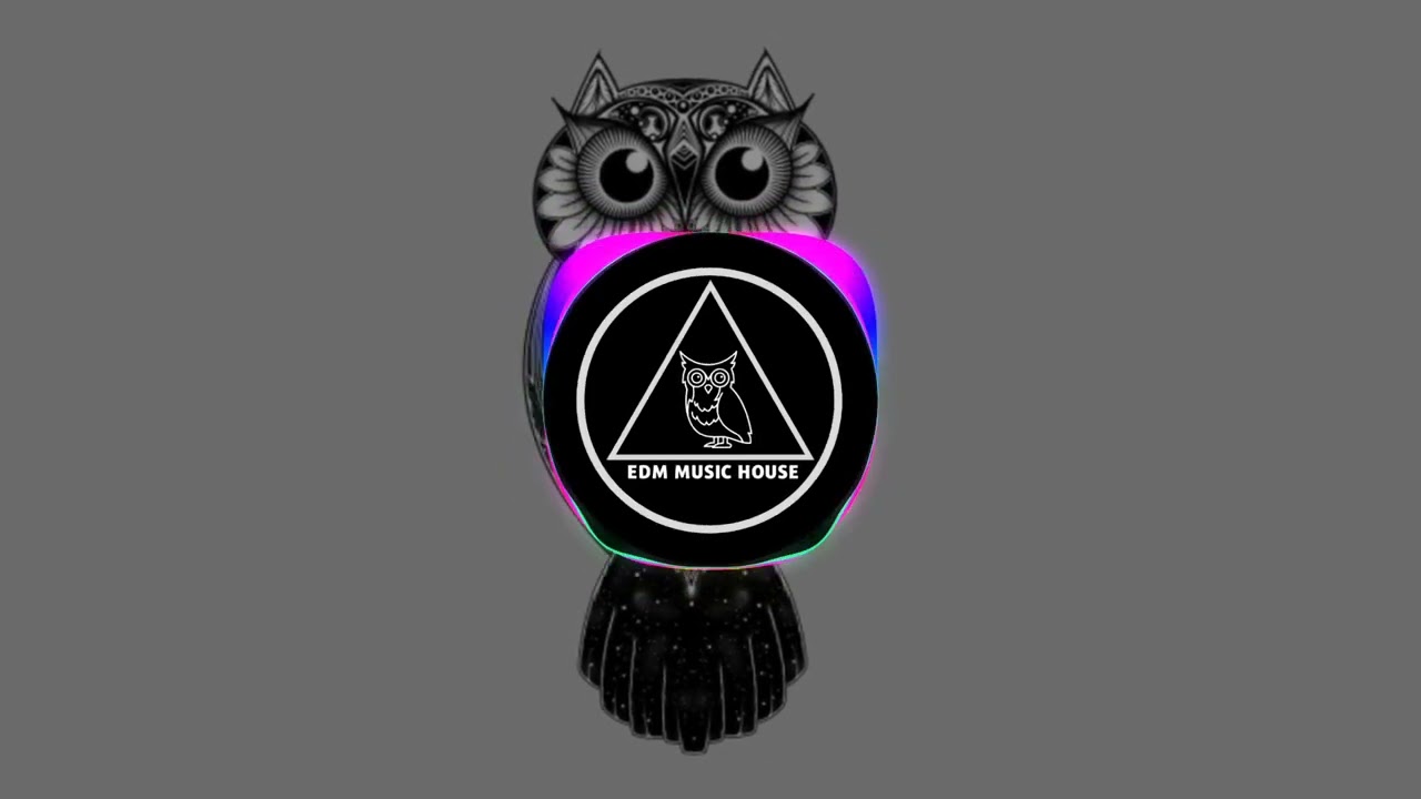 LOWX - APOLOGIZE