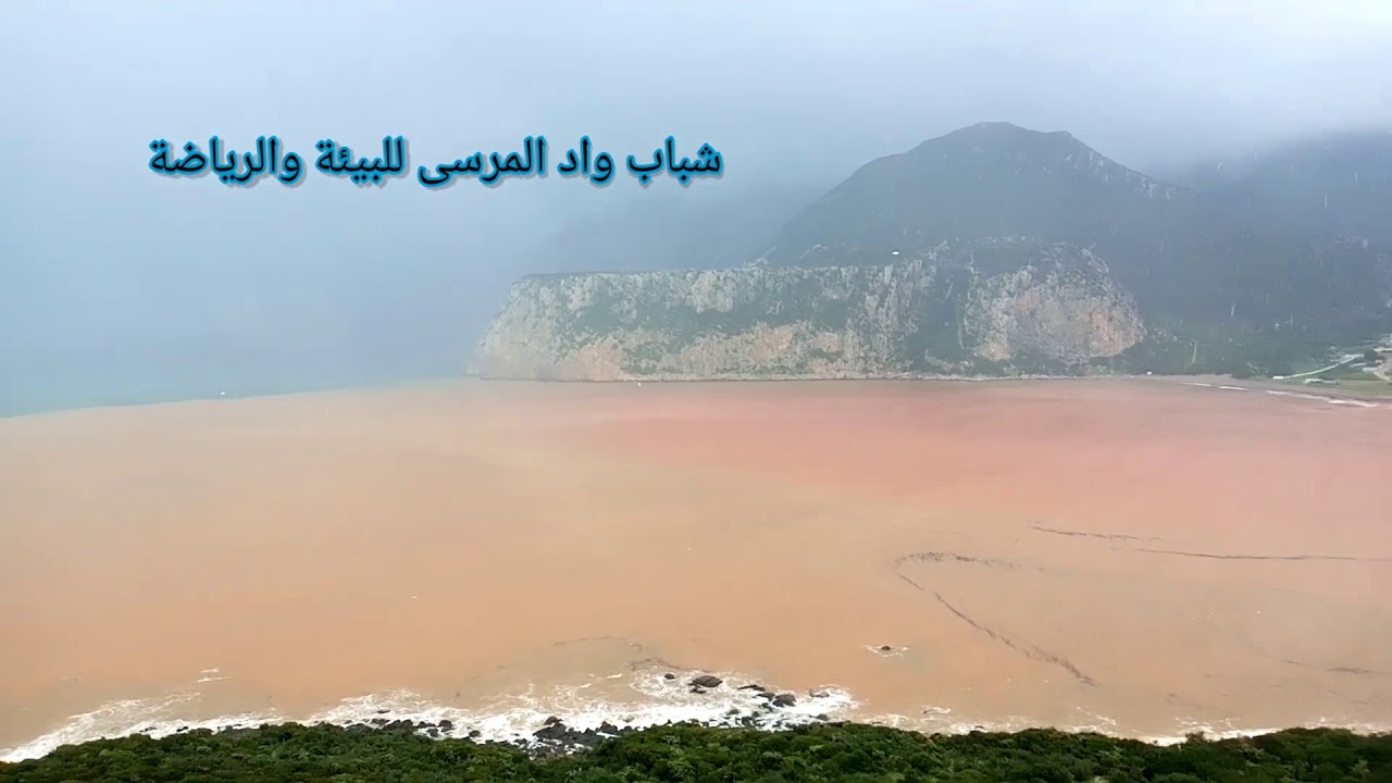 أمطار الخير في واد المرسى