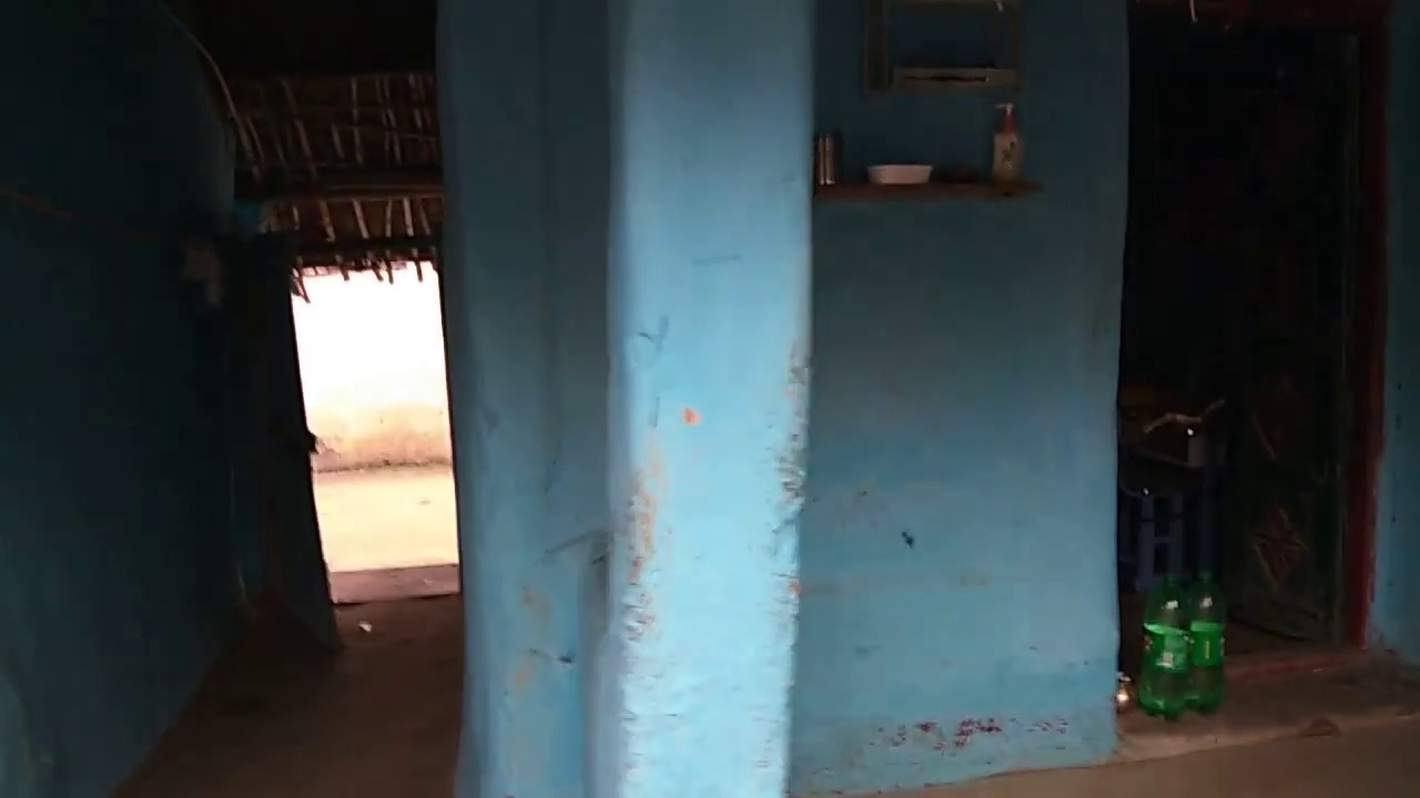 Traditional Tribal House at Odisha Hamlet