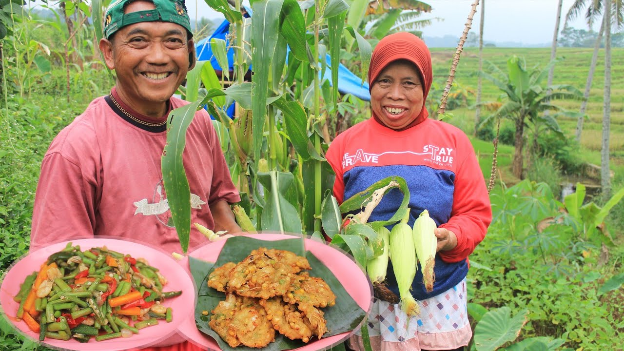 Panen Jagung Masak Tumis Okra Udang, Bakwan Jagung, Dan Jagung Bakar
