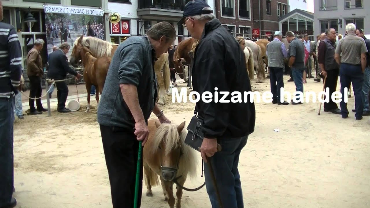 Ponymarkt Bemmel 2015