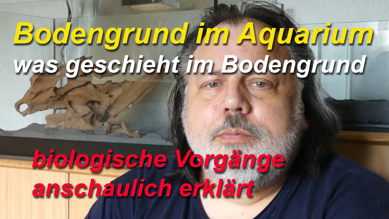 Bodengrund im Aquarium. Was bewirkt der Bodengrund bei Pflanzen? Biologische Prozesse im Bodengrund.