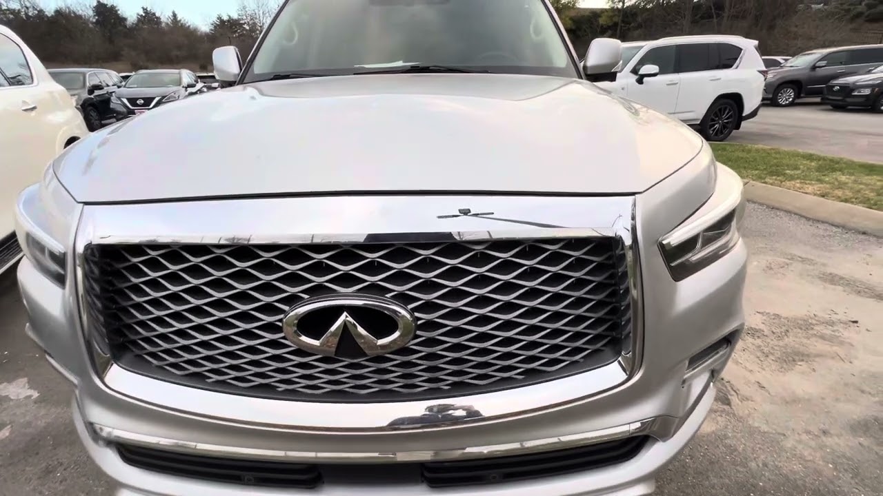 2019 Infiniti QX80 #685408