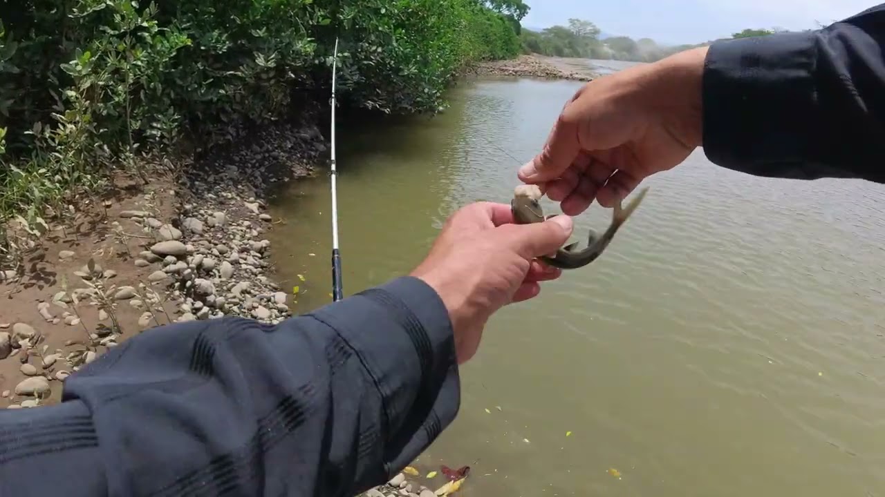 *AVENTURA Y PESCA* BOCA BARRANCA PUNTARENAS