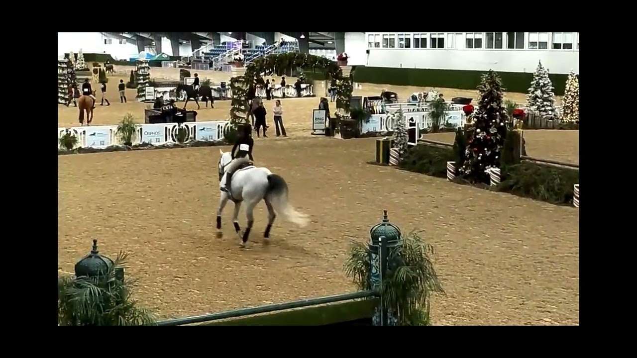 Untouch Du Faurieu Z • 15-17 Class Win